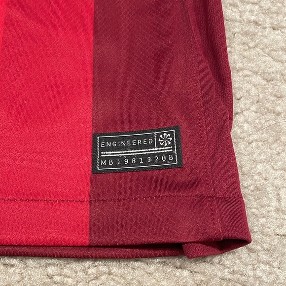 Norway 24/25 Home Jersey by Nike men size L NWT - Picture 4 of 6